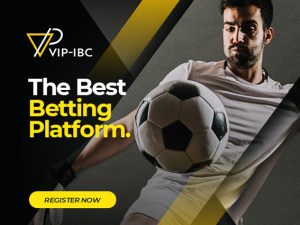 VIP-IBC Review